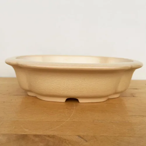 10-Inch Cream Glazed Yixing Ceramic Bonsai Pot (No. 2545b)
