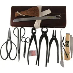 10pc Japanese Tool Set (BTK2)