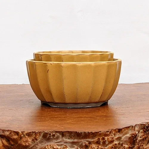 Yellow (round) Glazed Bonsai Pot (No. 04-31)